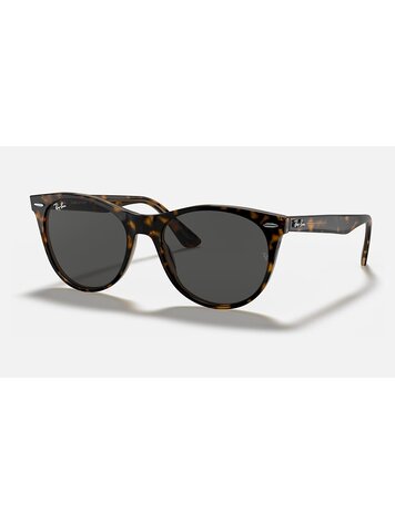 RAY-BAN RAY-BAN Wayfarer II Classic Polished Havana On Transparent Brown With Classic Dark Grey
