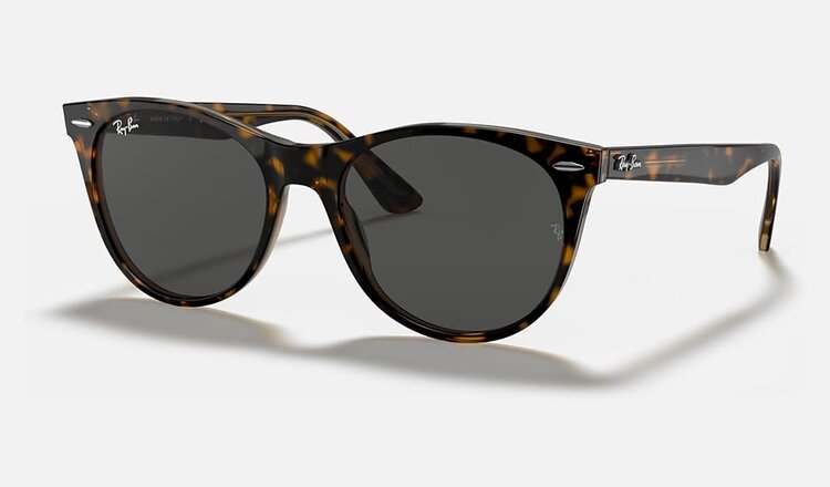 RAY-BAN RAY-BAN Wayfarer II Classic Polished Havana On Transparent Brown With Classic Dark Grey