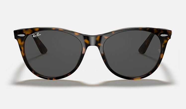 RAY-BAN RAY-BAN Wayfarer II Classic Polished Havana On Transparent Brown With Classic Dark Grey