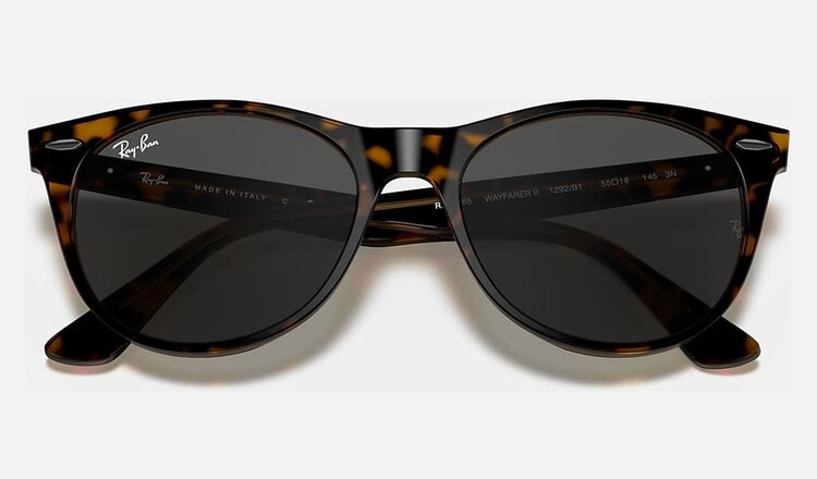 RAY-BAN RAY-BAN Wayfarer II Classic Polished Havana On Transparent Brown With Classic Dark Grey