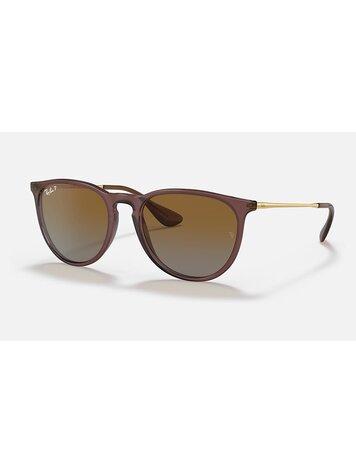 RAY-BAN RAY-BAN Erika Transparent Dark Brown Brown Gradient Polarized