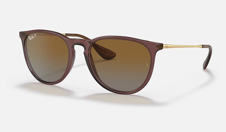 RAY-BAN RAY-BAN Erika Transparent Dark Brown Brown Gradient Polarized