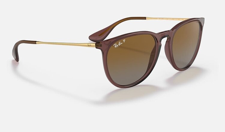 RAY-BAN RAY-BAN Erika Transparent Dark Brown Brown Gradient Polarized