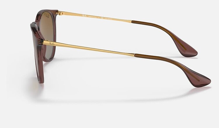 RAY-BAN RAY-BAN Erika Transparent Dark Brown Brown Gradient Polarized