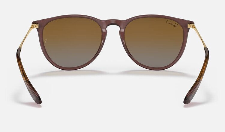 RAY-BAN RAY-BAN Erika Transparent Dark Brown Brown Gradient Polarized