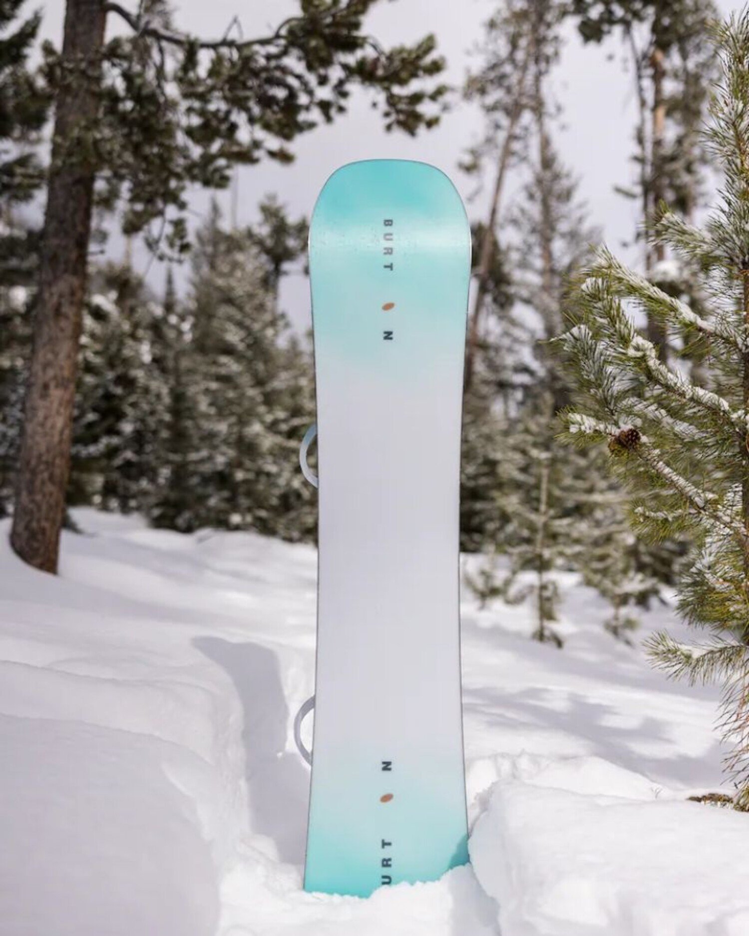 2024 BURTON Women s Story Board Snowboard Edge of the World