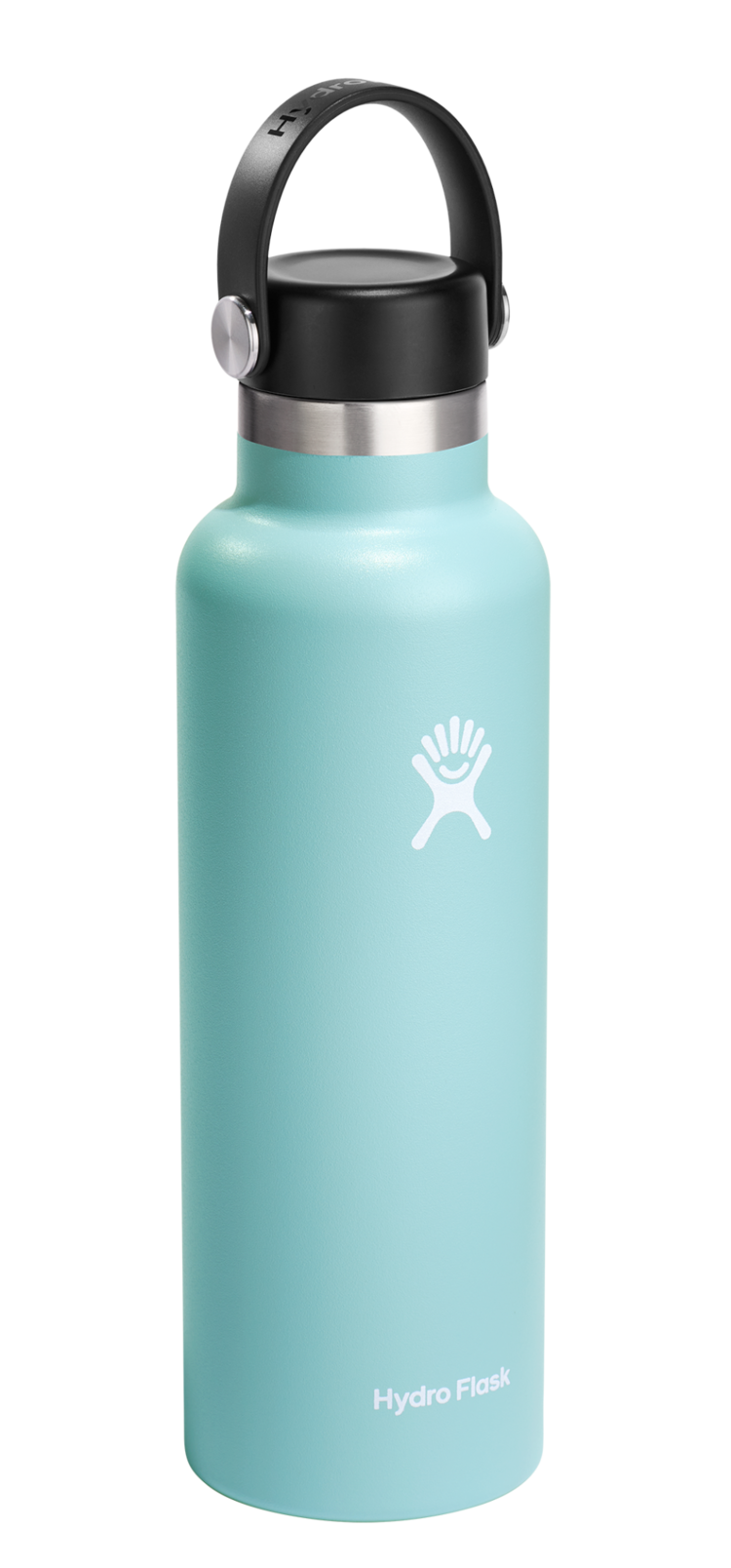 HYDRO FLASK HYDRO FLASK 21 Oz Standard Mouth Flex Cap Dew