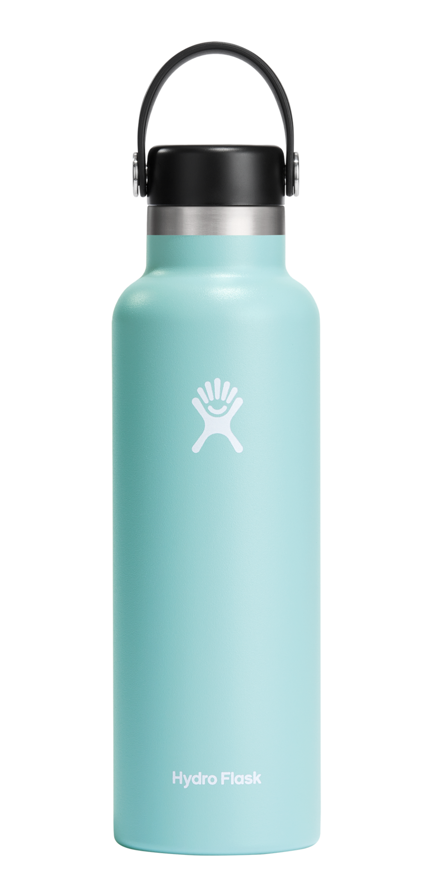HYDRO FLASK 21 Oz Standard Mouth Flex Cap Dew Edge of the World