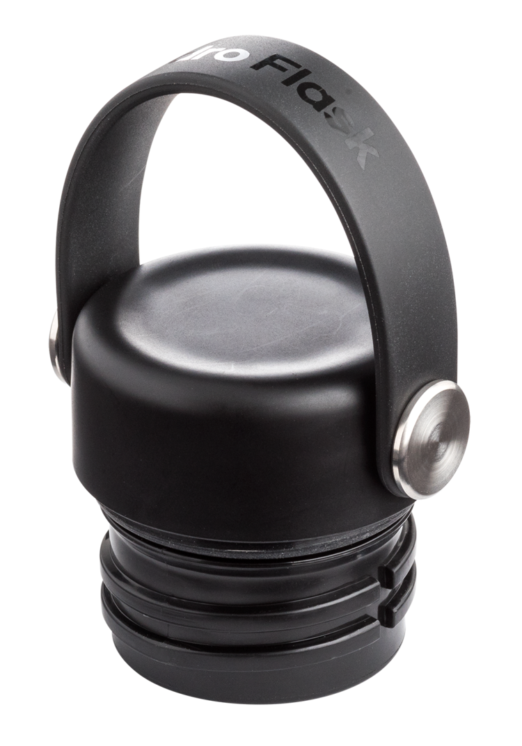 HYDRO FLASK HYDRO FLASK 21 Oz Standard Mouth Flex Cap Dew