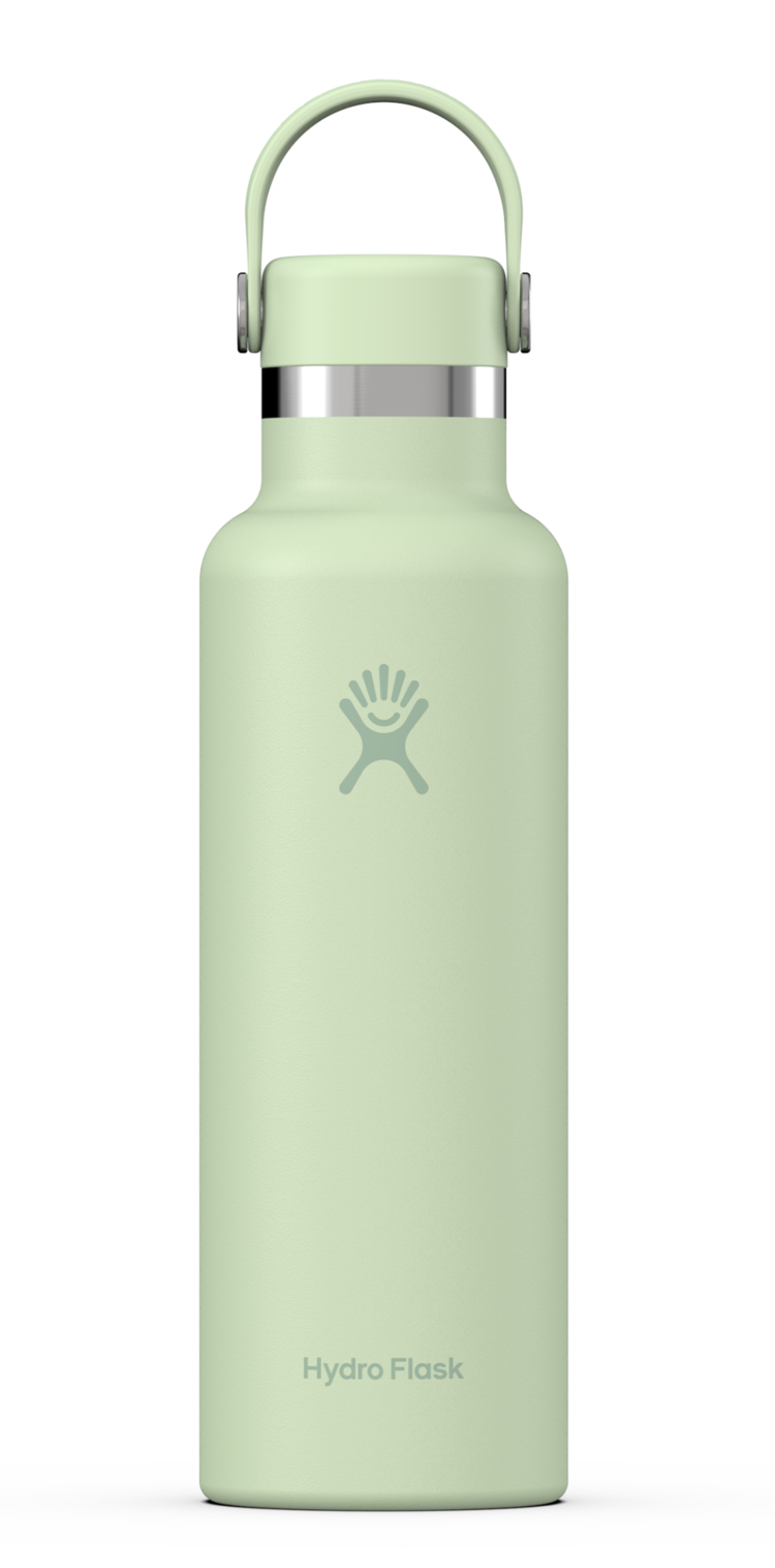 HYDRO FLASK HYDRO FLASK 21 Oz Standard Flex Cap Aloe