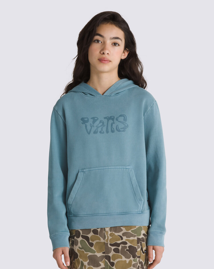 VANS VANS Kids Display Hoodie Bluestone