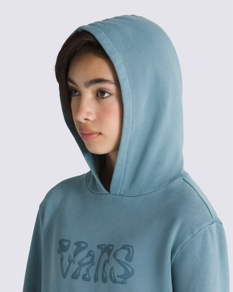 VANS VANS Kids Display Hoodie Bluestone