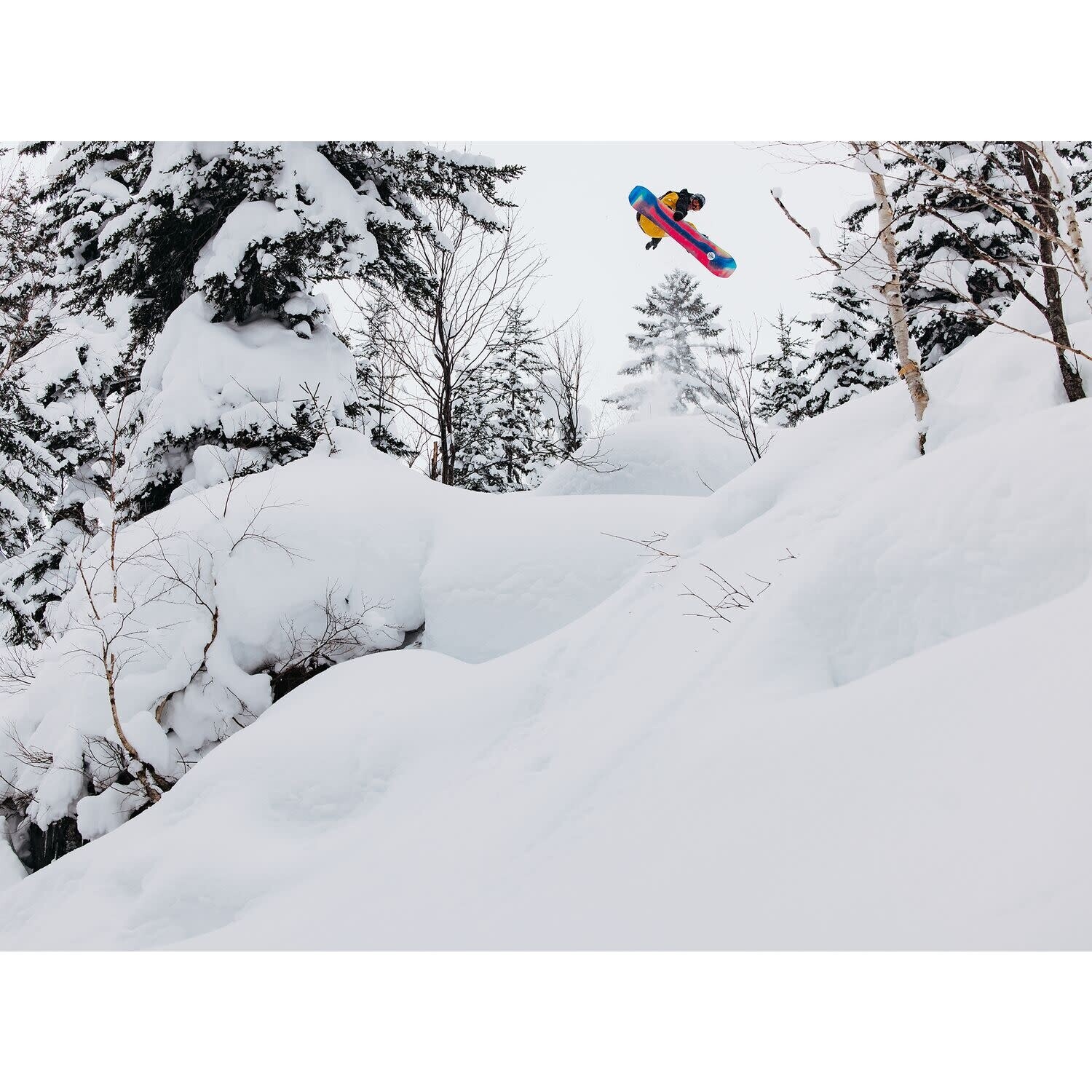 スノーボード BURTON TOWN HERO 148cm 2025 スノーボード BURTON TOWN HERO 148cm 2025 2025 BURTON Family