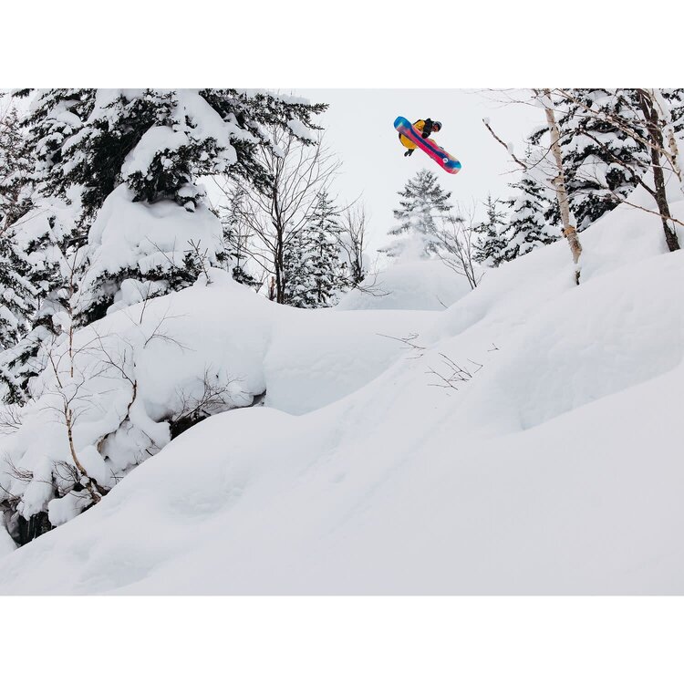 BURTON 2025 BURTON Family Tree Hometown Hero Snowboard