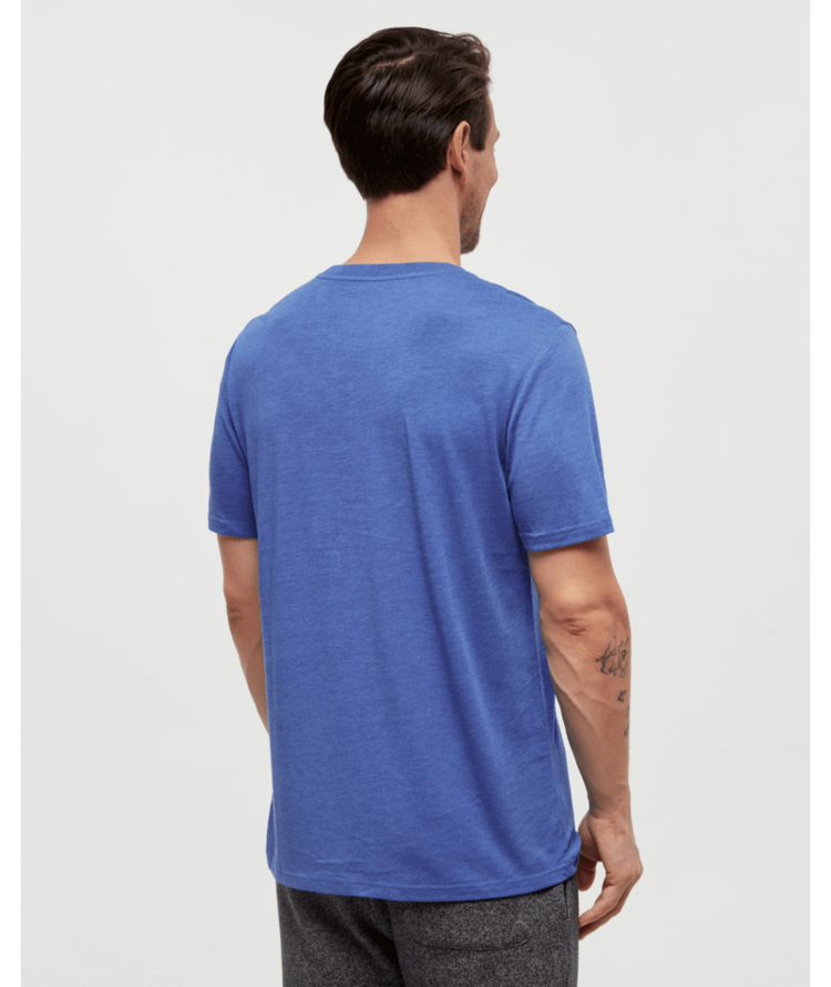 TENTREE TENTREE Men's Sasquatch T-Shirt Seaport Heather/Hockey