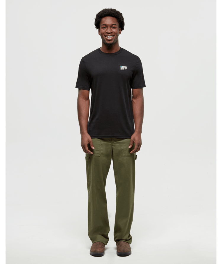 TENTREE TENTREE Men's Northern Aurora T-Shirt Meteorite Black/Aurora Treeline