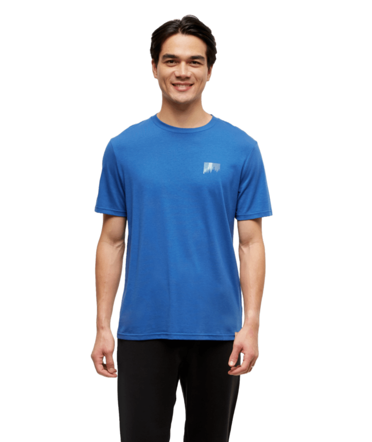 TENTREE TENTREE Men's Northern Aurora T-Shirt Seaport/Aurora Treeline