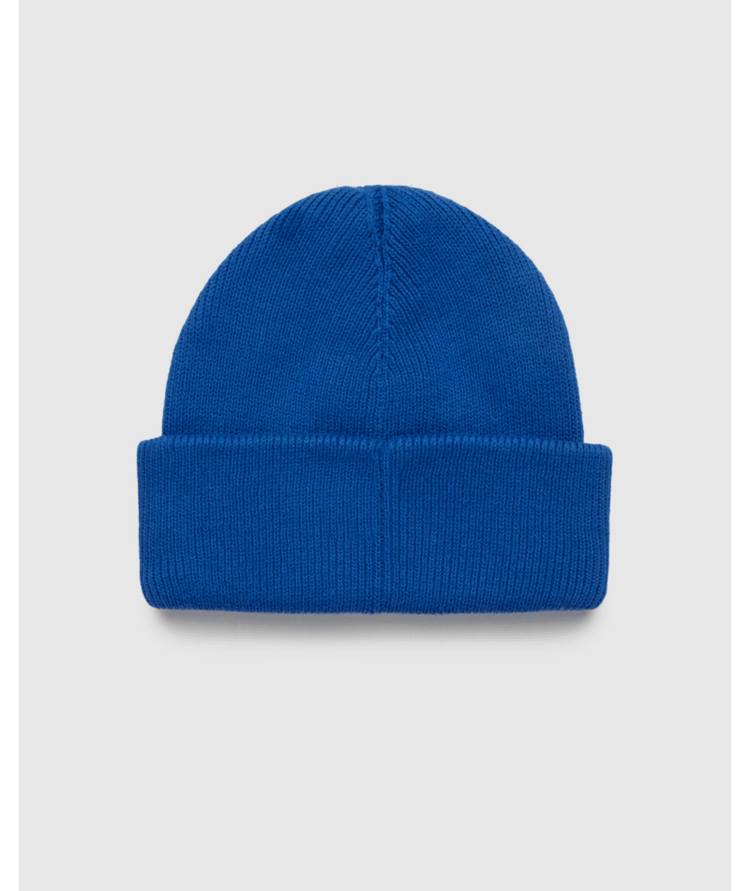 TENTREE TENTREE Alden Beanie Seaport
