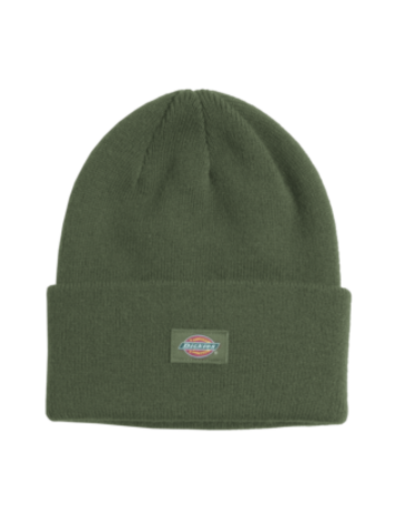 DICKIES DICKIES Dickies Tall Cuff Beanie Cypress