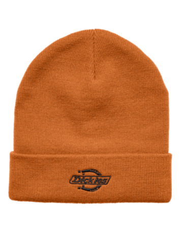 DICKIES DICKIES Summerdale Beanie Autumn Maple
