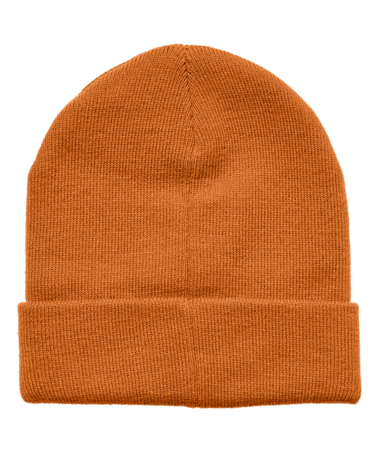 DICKIES DICKIES Summerdale Beanie Autumn Maple