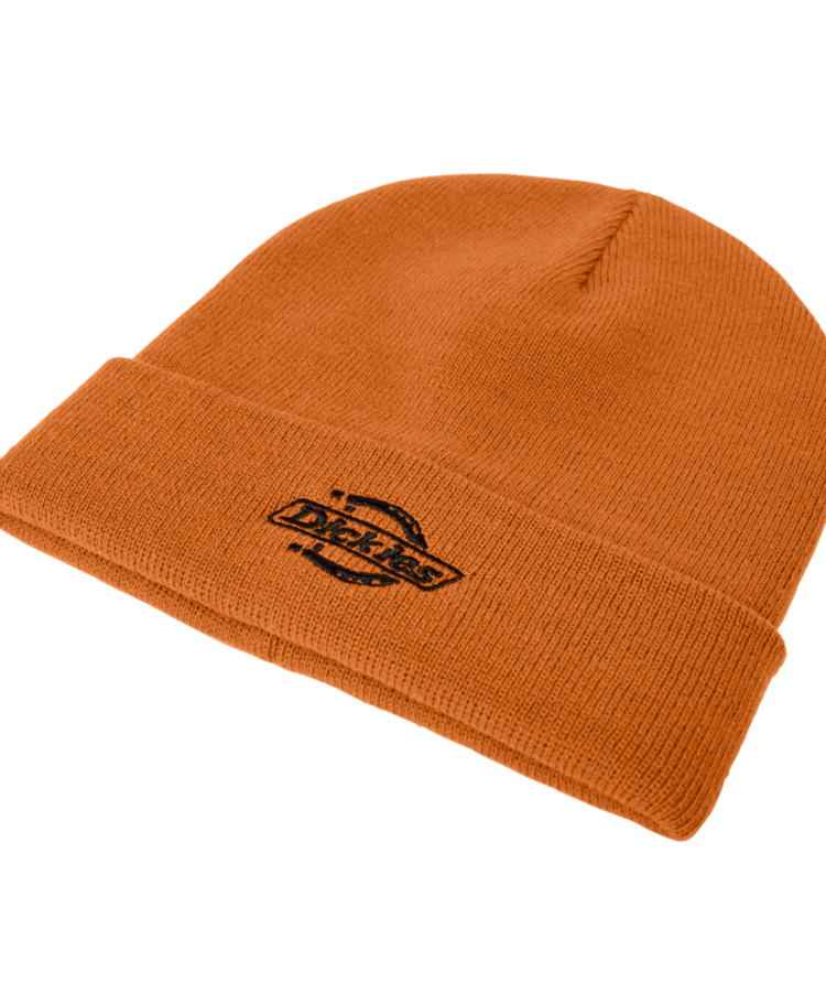 DICKIES DICKIES Summerdale Beanie Autumn Maple
