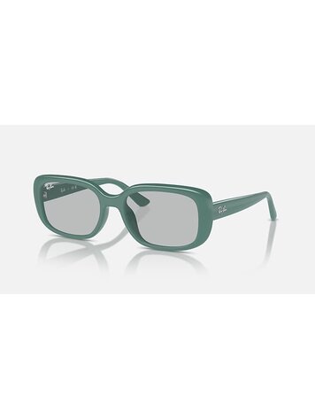 RAY-BAN RAY-BAN Green Algae With Light Grey