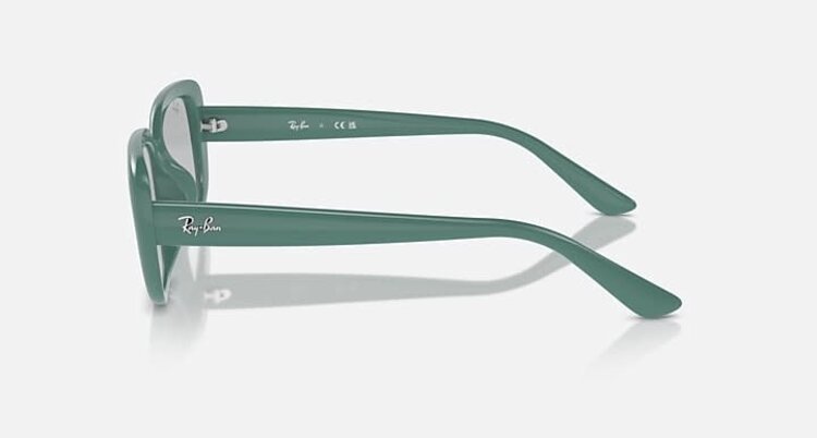 RAY-BAN RAY-BAN Green Algae With Light Grey