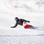 Snowboards