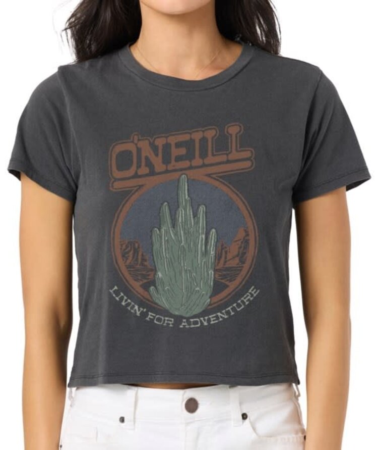 O'NEILL O'NEILL Road Trippin Fitted Tee Washed Black