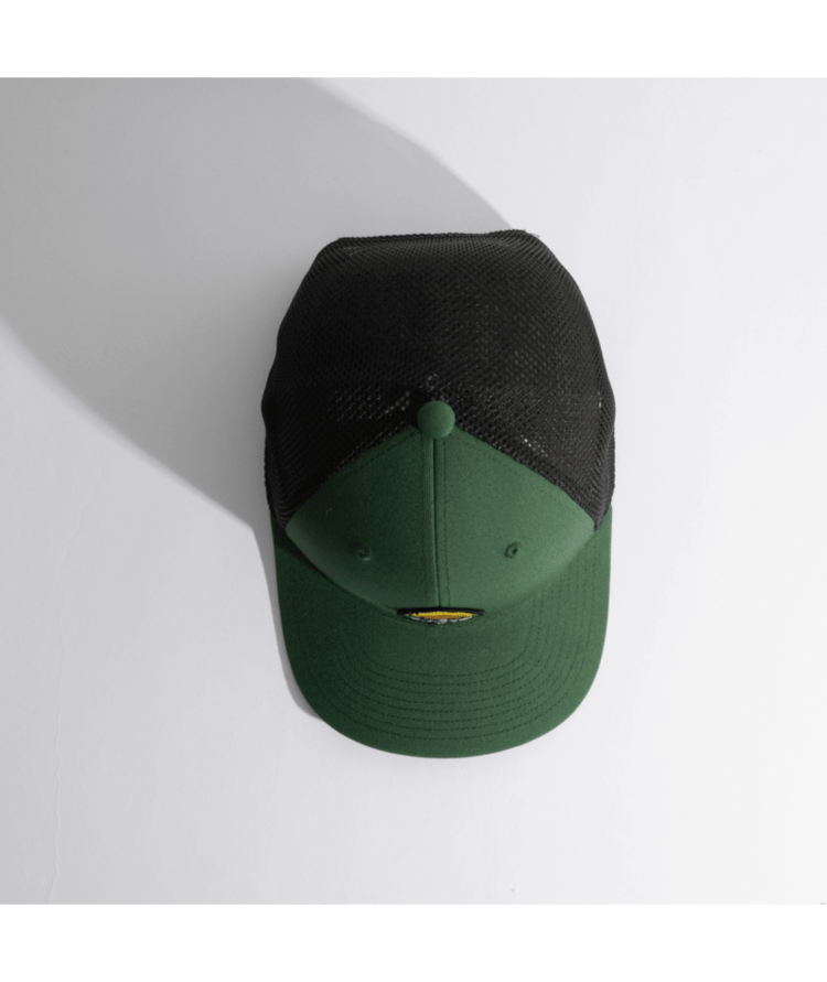 COAL COAL Hauler One Low Green/Black