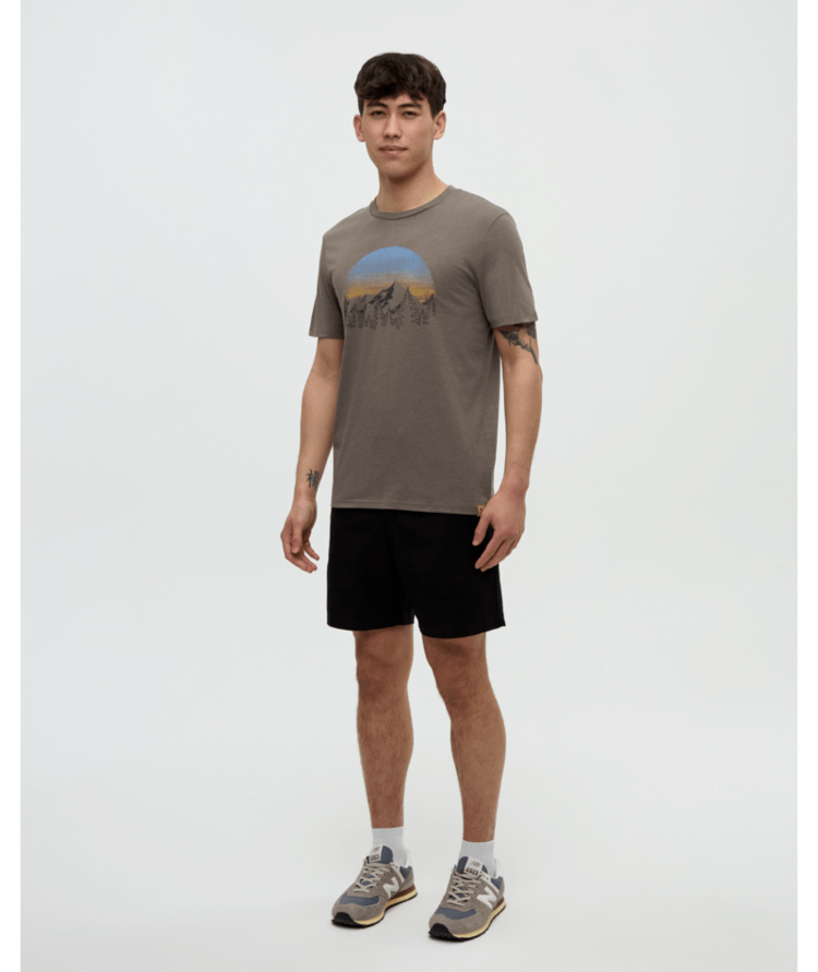 TENTREE TENTREE Vintage Sunset T-Shirt Timber Heather/Light Moss