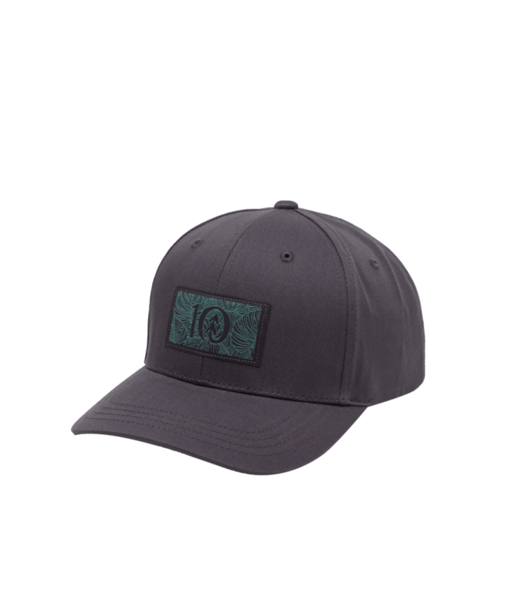 TENTREE TENTREE Amazon Patch Elevation Hat Graphite/Tidal Teal