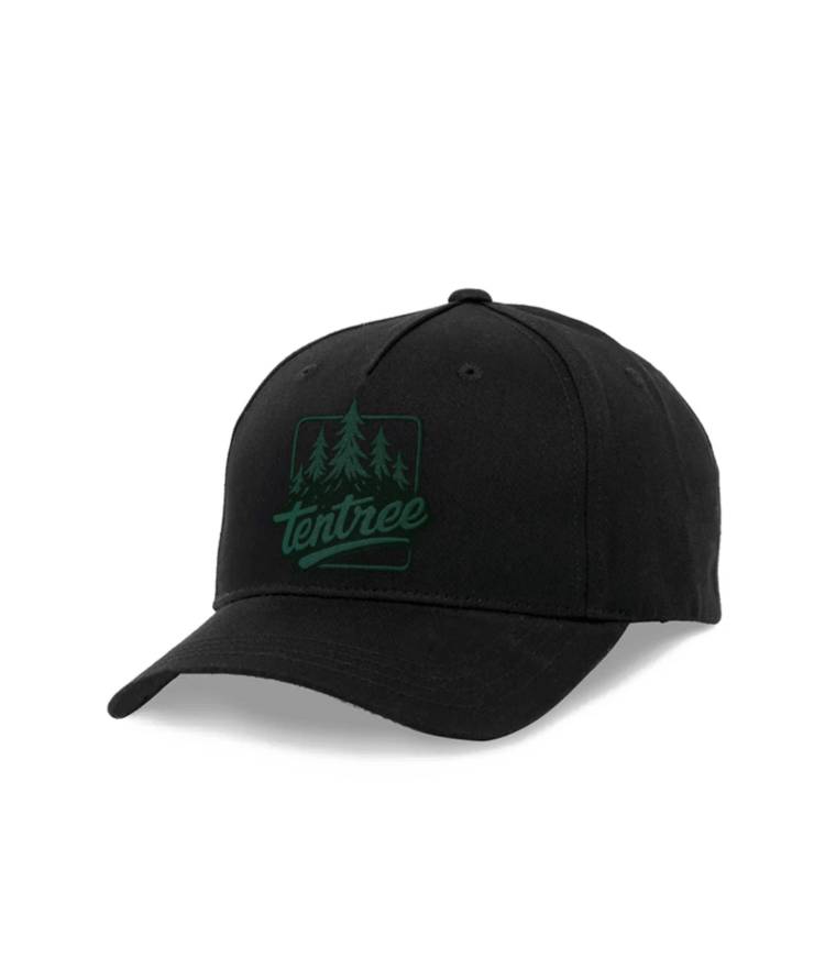 TENTREE TENTREE Tentree Trees Elevation Hat Meteorite Black/Green