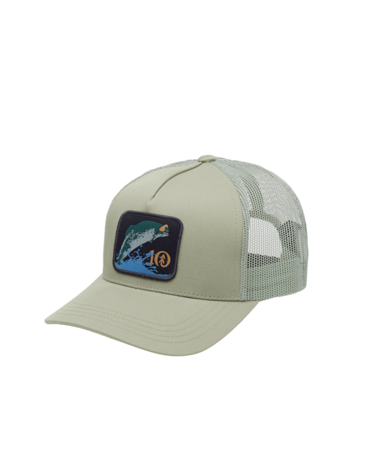 TENTREE TENTREE Lake Logo Altitude Hat Light Moss/Fish