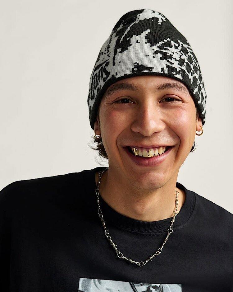 VANS VANS Hovley Beanie Black