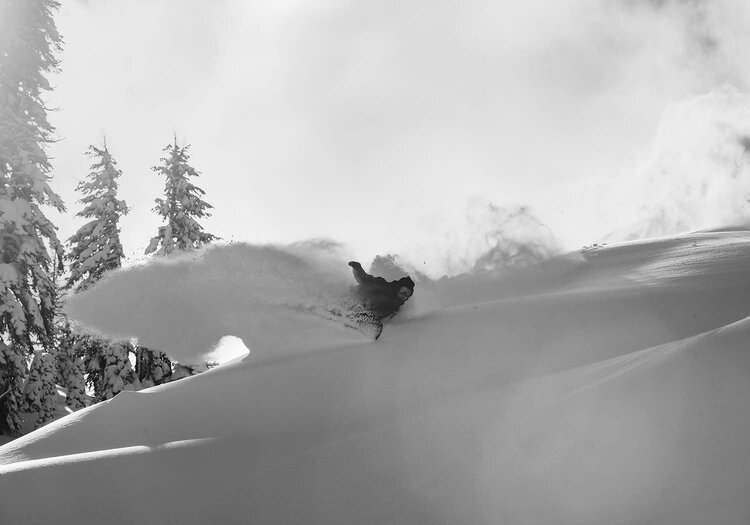 KORUA 2026 KORUA Pencil Brushed Finish