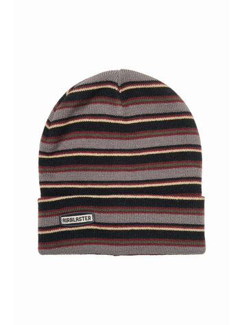 AIRBLASTER AIRBLASTER Stripe Beanie Shark