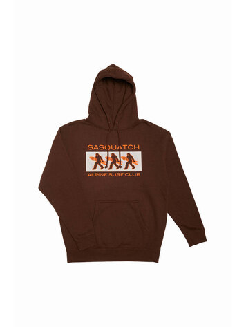 AIRBLASTER AIRBLASTER Sasquatch Asc Hoodie Brown