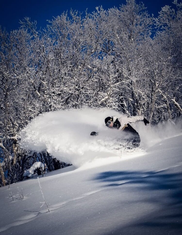 STRANDA 2026 STRANDA Descender