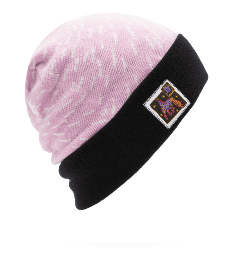 VOLCOM VOLCOM Team Beanie Pink Pink