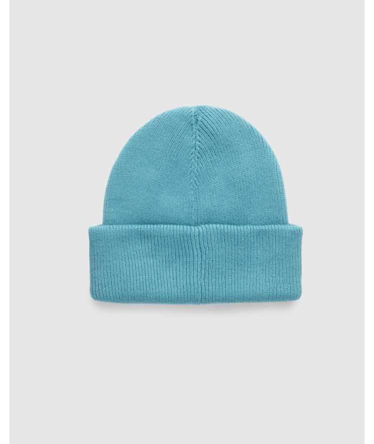 TENTREE TENTREE Alden Beanie Alpine Blue