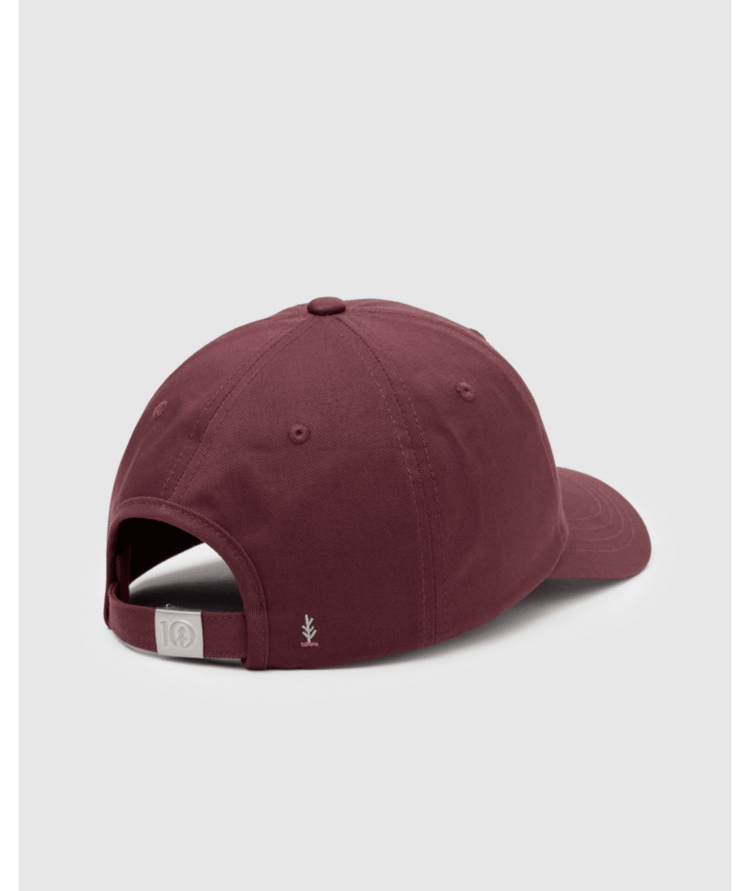 TENTREE TENTREE Sasquatch Peak Hat Red Chestnut/Mountain Bike