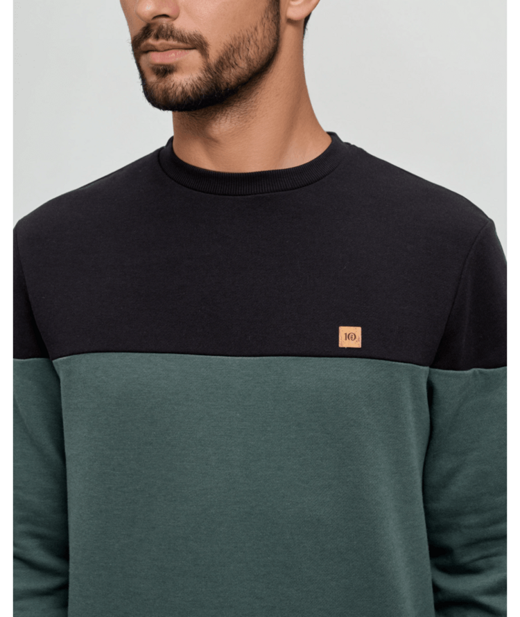 TENTREE TENTREE Reynard Blocked Crew Meteorite Black/Pine Green