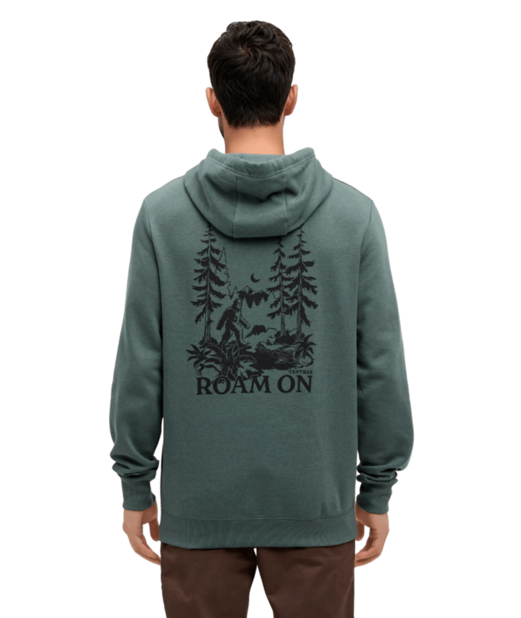 TENTREE TENTREE Sasquatch Sighting Hoodie Pine Green/Meteorite Black