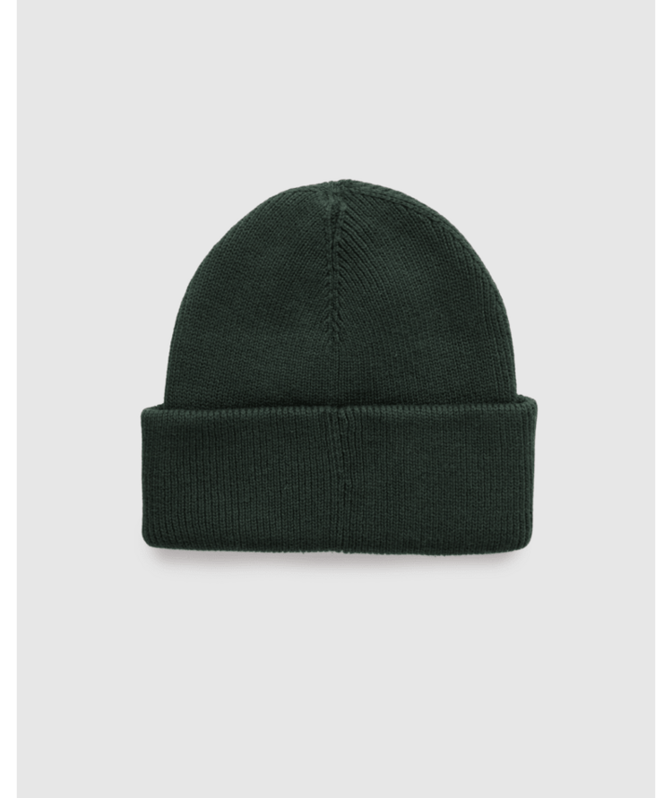 TENTREE TENTREE Alden Beanie Dark Forest Green