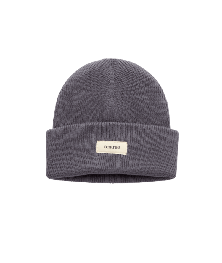 TENTREE TENTREE Alden Beanie Shadow