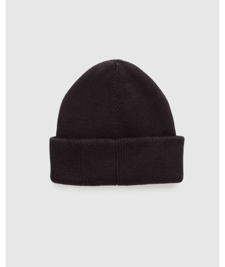 TENTREE TENTREE Trees Alden Beanie Meteorite Black/Pine Green