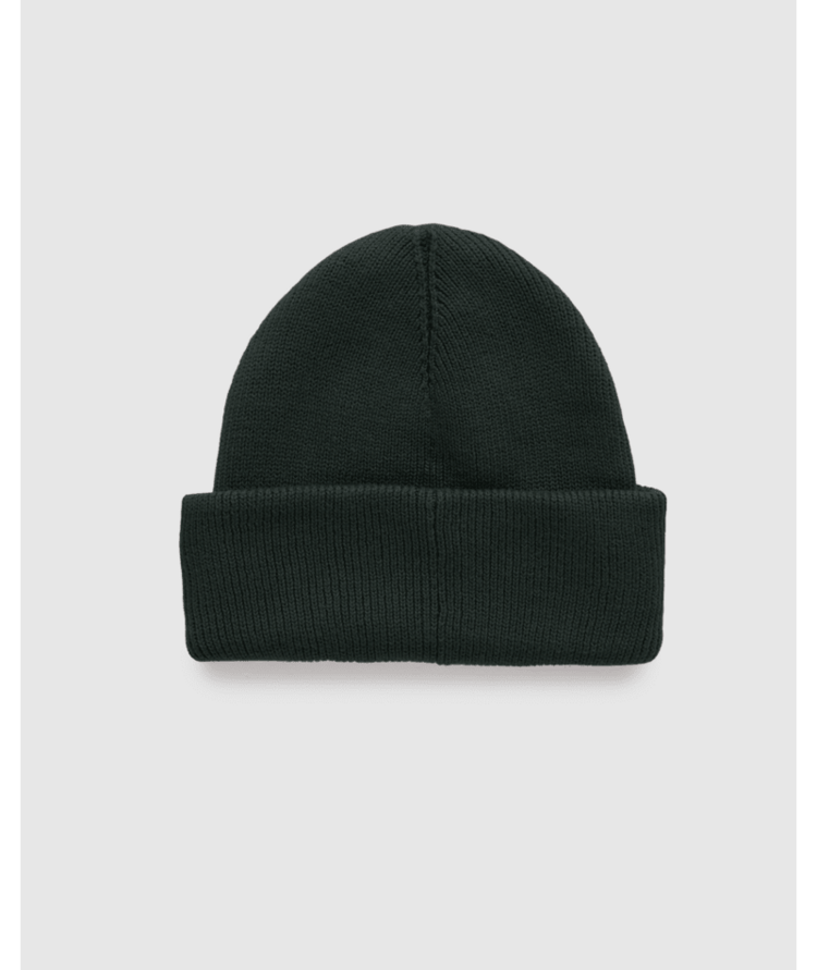 TENTREE TENTREE Heritage Planter Alden Beanie Dark Forest Green/Meteorite Black