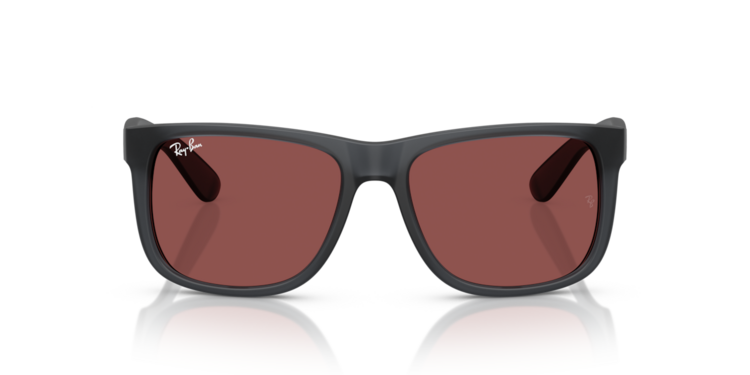 RAY-BAN RAY-BAN Justin Opal Grey Dark Violet